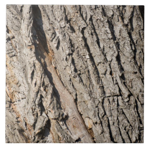 Altes Baumuster Fliese