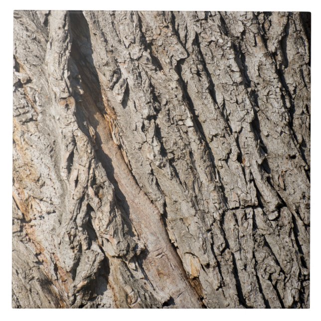 Altes Baumuster Fliese (Vorderseite)