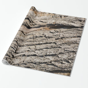 Altes Baumuster Geschenkpapier