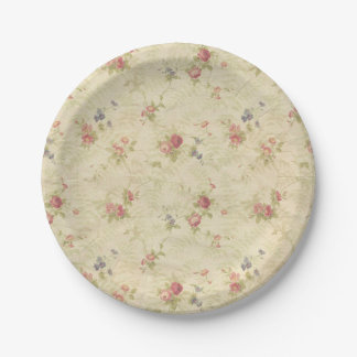 Altes beunruhigtes Gewebemuster der Vintagen Rosen Pappteller