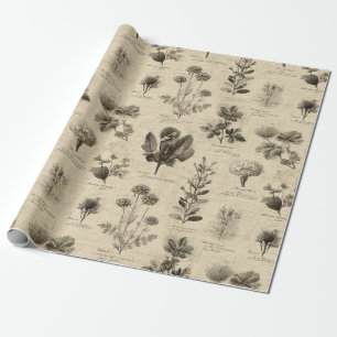 Altes Botanisches Blumenmuster (11) Geschenkpapier