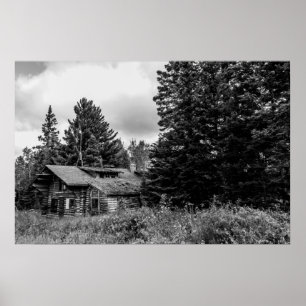 Altes Cabin Poster