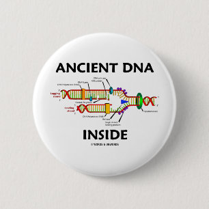Altes DNA-Innere (DNA-Reproduktions-Spaß) Button