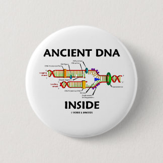 Altes DNA-Innere (DNA-Reproduktions-Spaß) Button