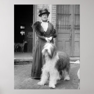 Altes Englisch Sheepdog, 1915 Poster