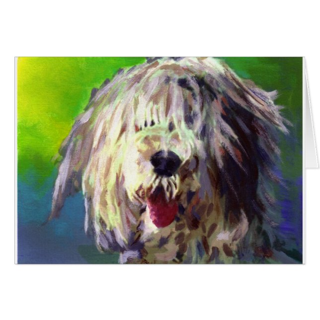 Altes englisches Schäferhund (Vorderseite (Horizontal))