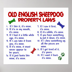 ALTES ENGLISCHES SCHEEPDOG PL2 POSTER