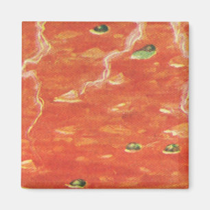 Altes Essen, Heiße Schüssel Tomatensuppe mit Erbse Magnet