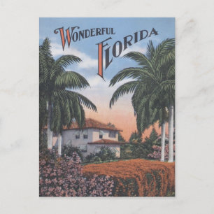 Altes Florida-Broschüre Postkarte