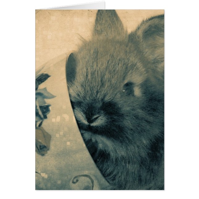 Altes Foto Jeden Anlaß verblasst (Vorne)