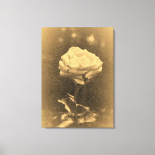 Altes Foto Schöne Rosa Rose Nah-up Leinwanddruck
