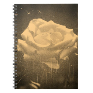 Altes Foto Schöne Rosa Rose Nah-up Notizblock
