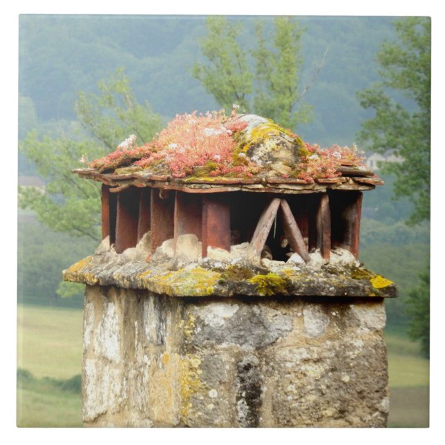 Altes französisches Chimney Keramik Foto Tile Fliese (Vorderseite)