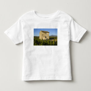 Altes Haus in Comtat Venaissin, Vaucluse, Kleinkind T-shirt