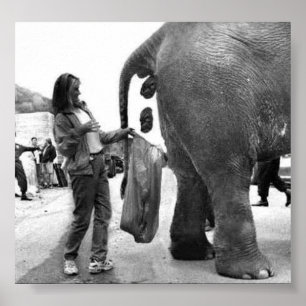 Altes Jobposter Poster