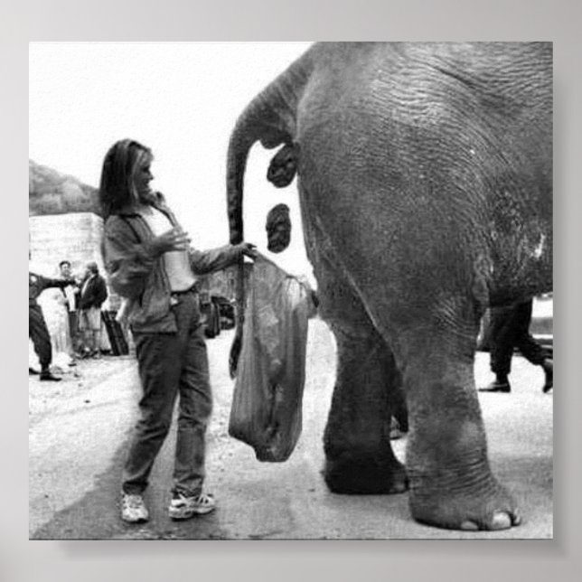 Altes Jobposter Poster (Vorne)