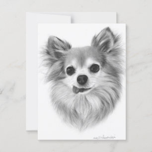 Altes, langhaariges Chihuahua Handgemalte Kunstwer Postkarte