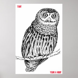 Altes Owl Poster