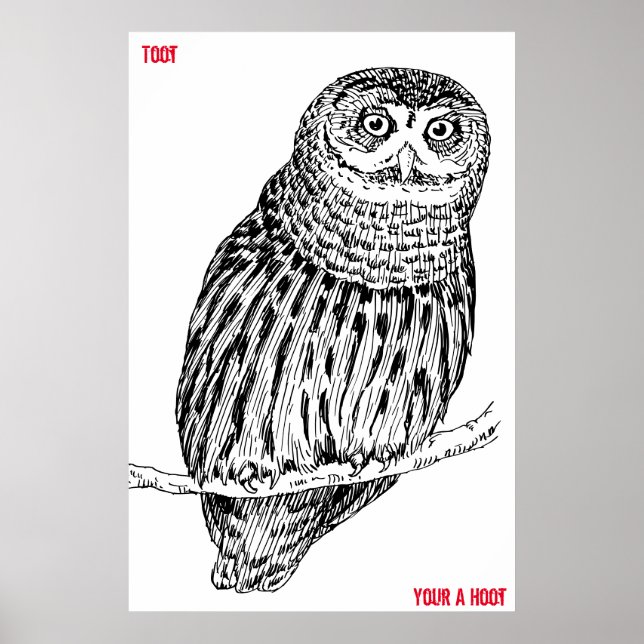 Altes Owl Poster (Vorne)