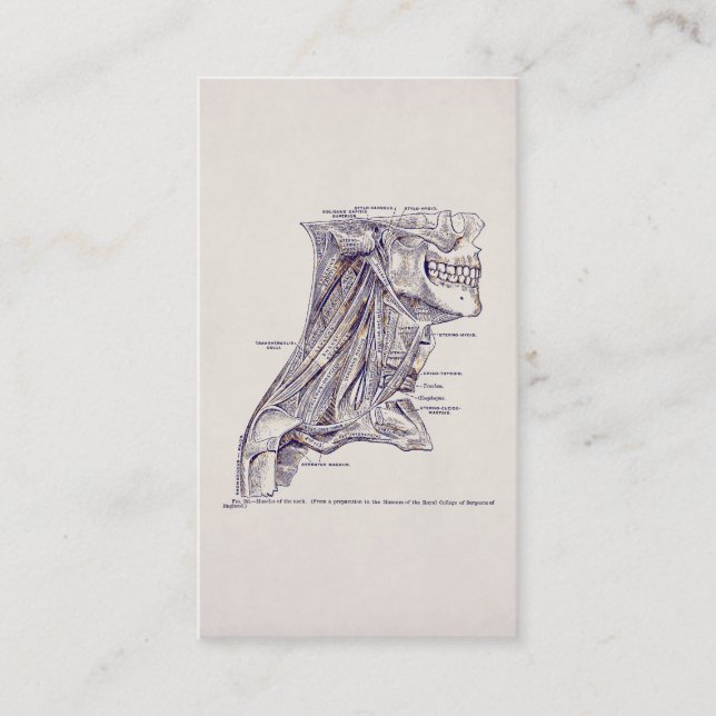 Altes Papier des Vintagen Visitenkarte (Vorderseite)