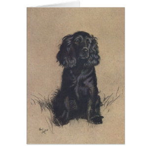 Altes Porträt eines Cocker Spaniels,