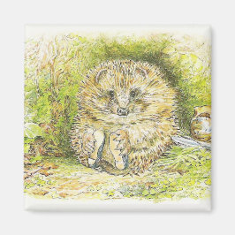 Altes Prickly Button (Igel) (von Beatrix Potter) Magnet