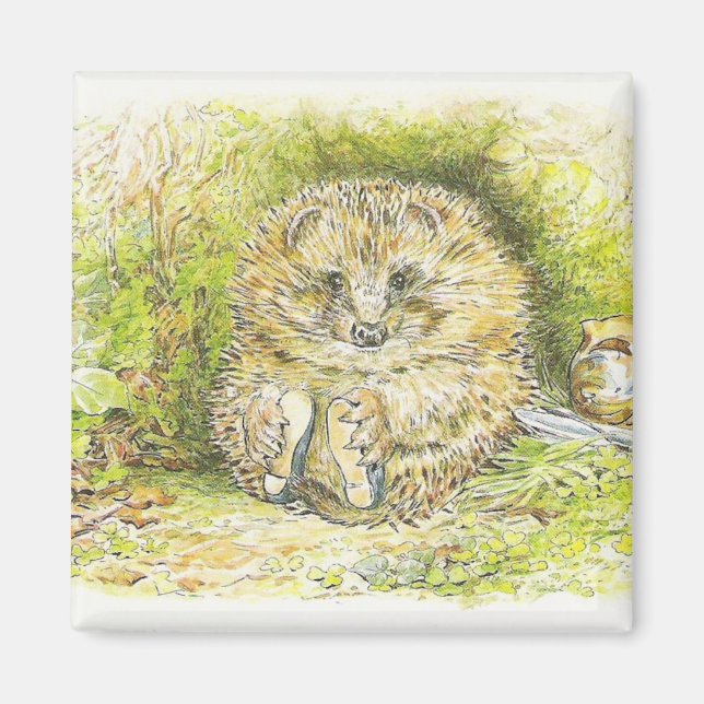 Altes Prickly Button (Igel) (von Beatrix Potter) Magnet (Vorne)