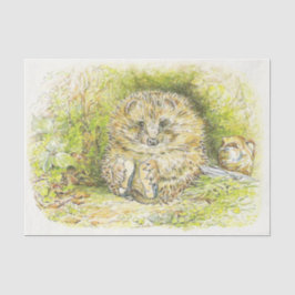 Altes Prickly Button (Igel) (von Beatrix Potter) Seidenpapier