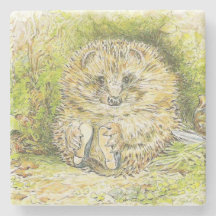 Altes Prickly Button (Igel) (von Beatrix Potter)