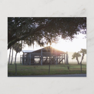 Altes Ranch Gebäude unter Bäumen mit Statue Postkarte