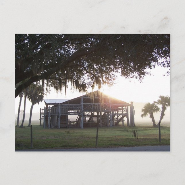 Altes Ranch Gebäude unter Bäumen mit Statue Postkarte (Vorderseite)