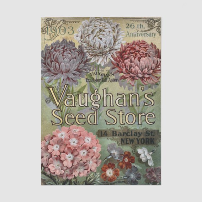Altes Samenkatalog, 1903, Vaughan's, Astern Seidenpapier (Vorderseite)
