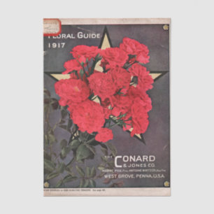 Altes Samenkatalog, Conard & Jones, 1917 Seidenpapier