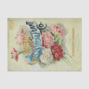 Altes Sämereien-Katalog 1898 Pacific Strong Seed Seidenpapier