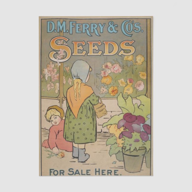 Altes Sämereien-Katalog, D.M. Ferry Seeds Seidenpapier (Vorderseite)