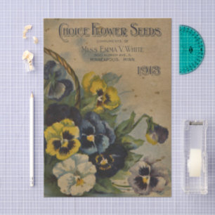 Altes Sämereien-Katalog Emma White, 1913, Stiefmüt Seidenpapier