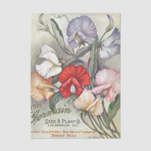Altes Sämereien-Katalog Germain, 1910, Duftwicken Seidenpapier