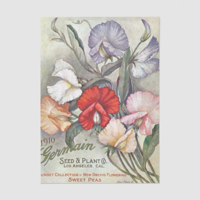 Altes Sämereien-Katalog Germain, 1910, Duftwicken  Seidenpapier (Vorderseite)