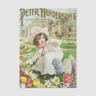 Altes Sämereien-Katalog Peter Henderson 1901, Blum Seidenpapier