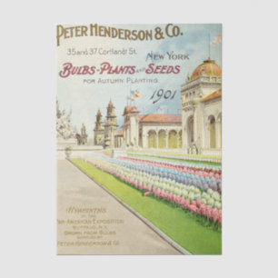 Altes Sämereien-Katalog Peter Henderson 1901 Blume Seidenpapier