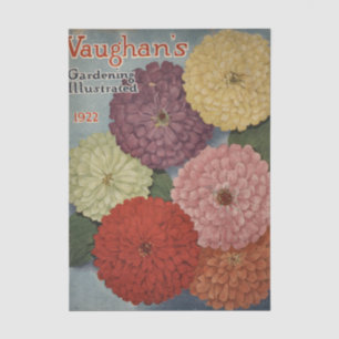 Altes Sämereien-Katalog Vaughan's, 1922 Seidenpapier