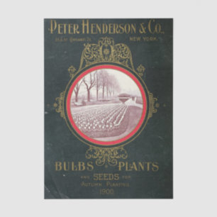 Altes Sämereikatalog Peter Henderson Co., 1900 Seidenpapier
