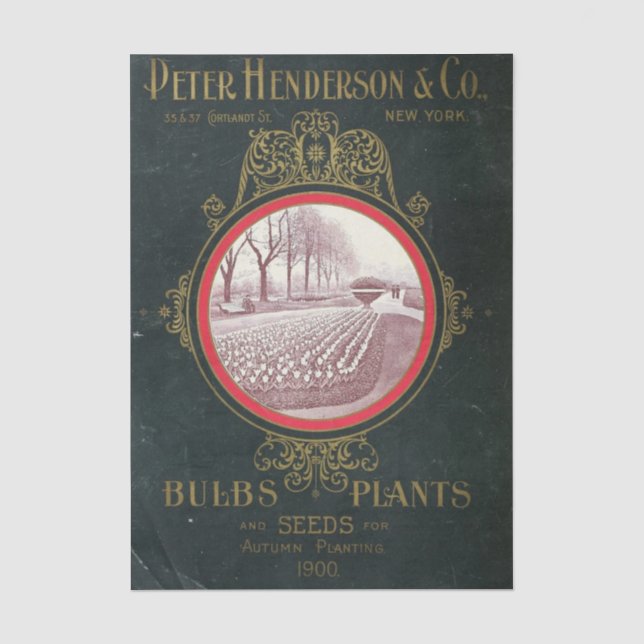Altes Sämereikatalog Peter Henderson Co., 1900 Seidenpapier (Vorderseite)