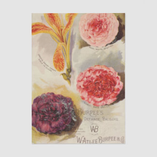 Altes Sämereiverzeichnis, Burpee's Defiance Balsam Seidenpapier