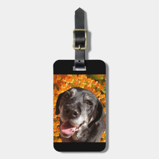 Altes schwarzes Labrador Gepäckanhänger