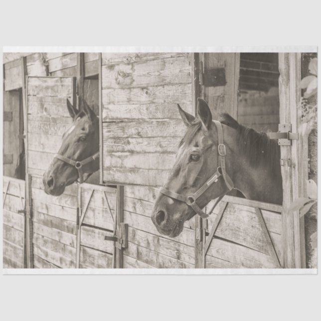 altes stabiles Pferdegewebe Seidenpapier (Vorderseite)