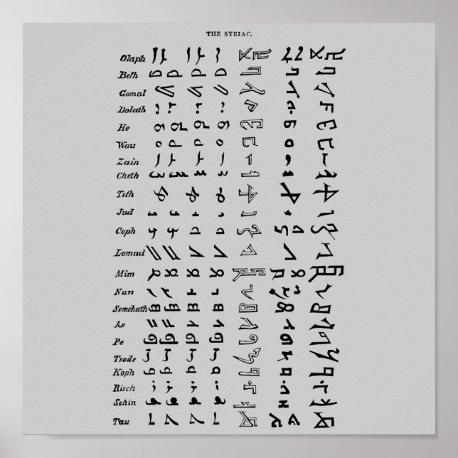 Altes Syrien Alphabet Poster (Vorne)