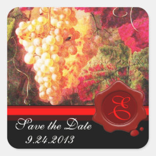 ALTES TRAUBEN-WEINBERG-WEIN-PROBIEREN-PARTY, ROTES QUADRATISCHER AUFKLEBER