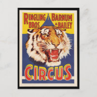 Altes Vintages Tigerzirkus-Poster der 1900er Jahre