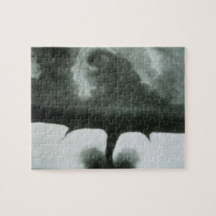 Älteste bekannte Fotografie eines Tornados ab 1884 Puzzle